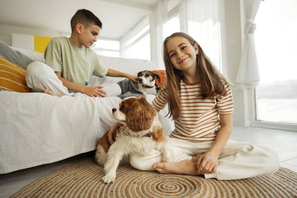 Implementing flexible pet policies to retain guests - Zeevou