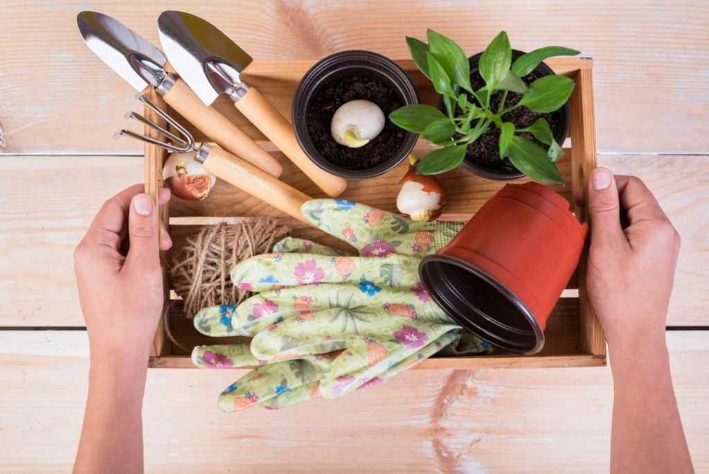 Providing guests with indoor gardening kits - Zeevou