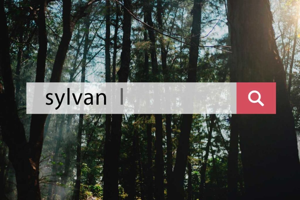 Best Direct Booking Website for Short-Term Rentals: What Is a Branded Search- Zeevou
